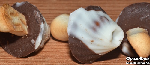 Печенье "Опята" в белой и тёмной глазури Rikki